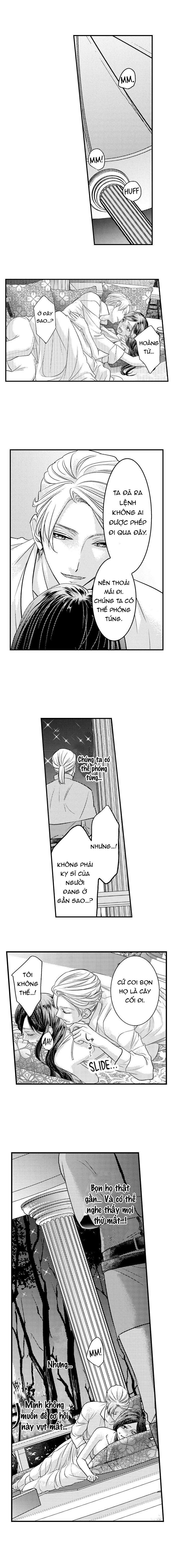 chuyển sinh vào thế giới khác ~ nếu muốn trở thành nữ hoàng hãy tìm cách để được hoàng đế sủng ái vào ban đêm chapter 11.1 7