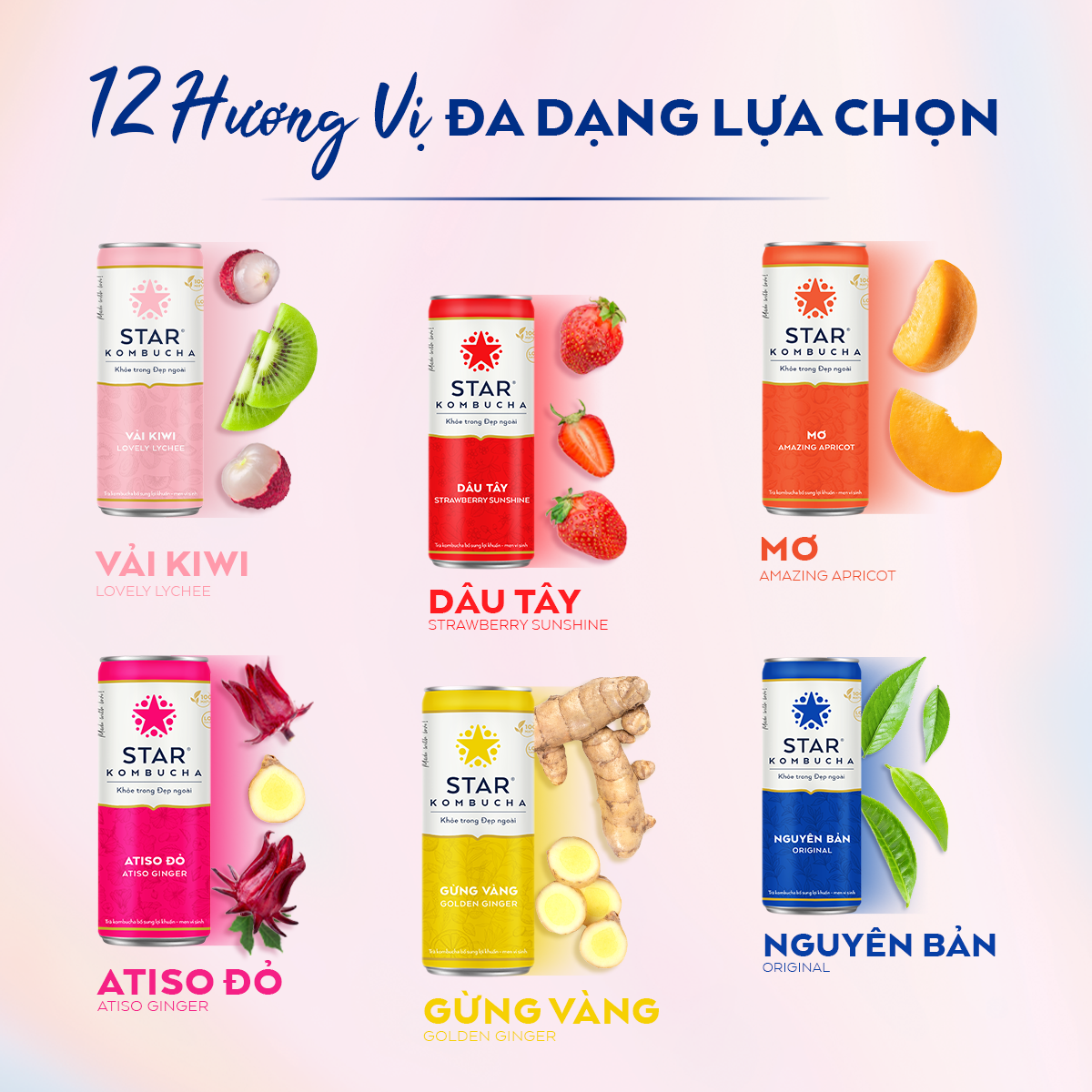 [BAO BÌ XUÂN 2024] Thùng 24 lon trà lên men Star Kombucha mix 4 vị (250ml/lon)