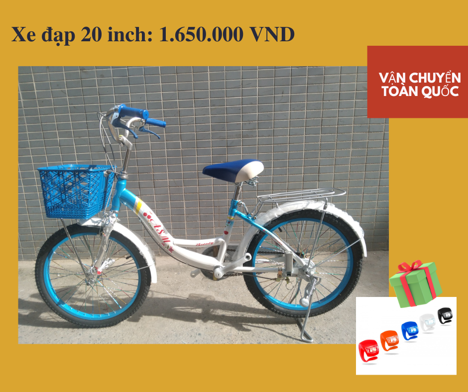 Xe đạp trẻ em bé gái 20 inch