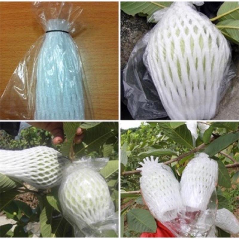 100g xốp bọc ổi