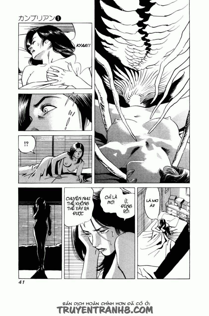 cambrian chapter 2 8