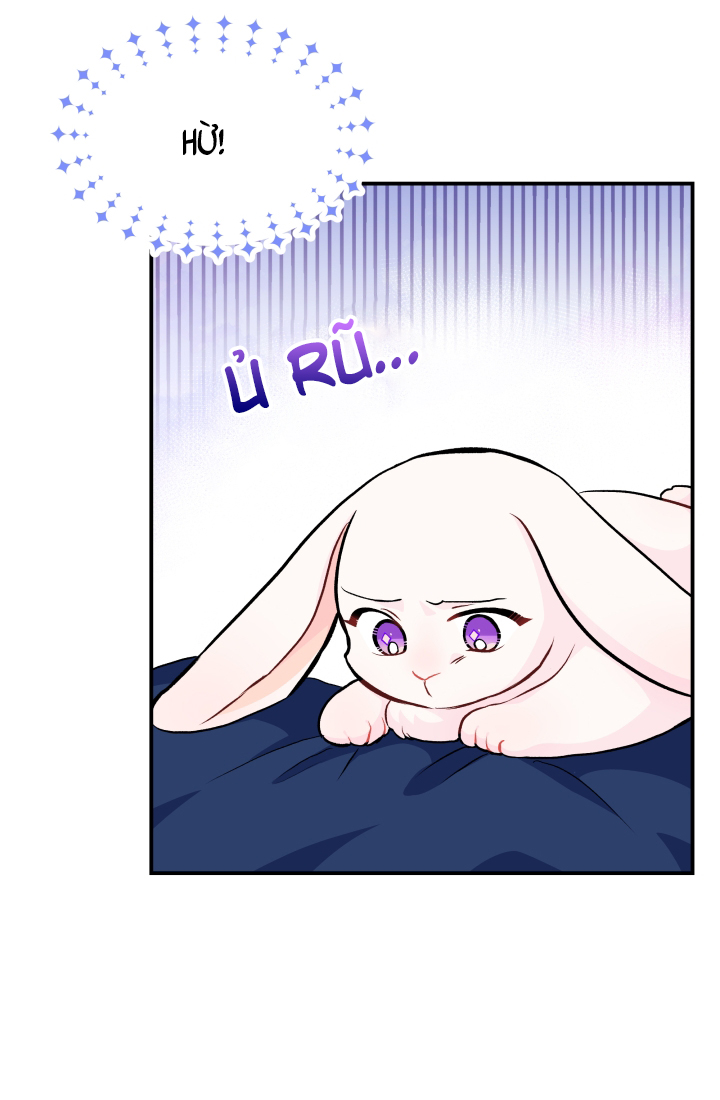 mối liên kết giữa báo đen và bé thỏ chapter 3 11