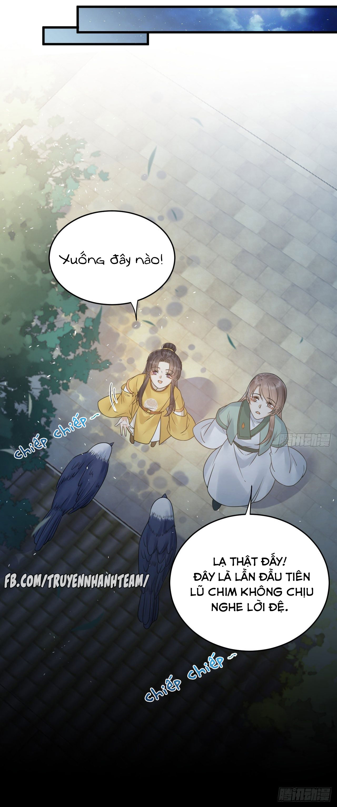 Lễ Băng Nhạc Hoại Chi Dạ chapter 51