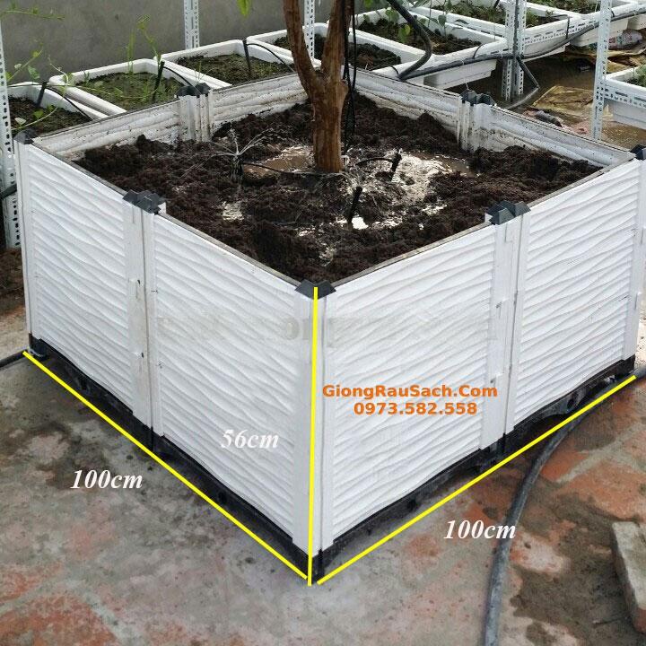 Luống Ghép Thông Minh Trồng Rau Sạch Tại Nhà 300x100x22cm