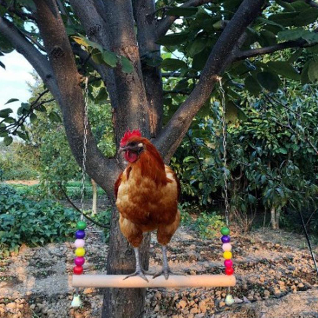 Chicken Swing Birds Bite Toys Birds Parrots Stand Perch for Large Birds Chicken
