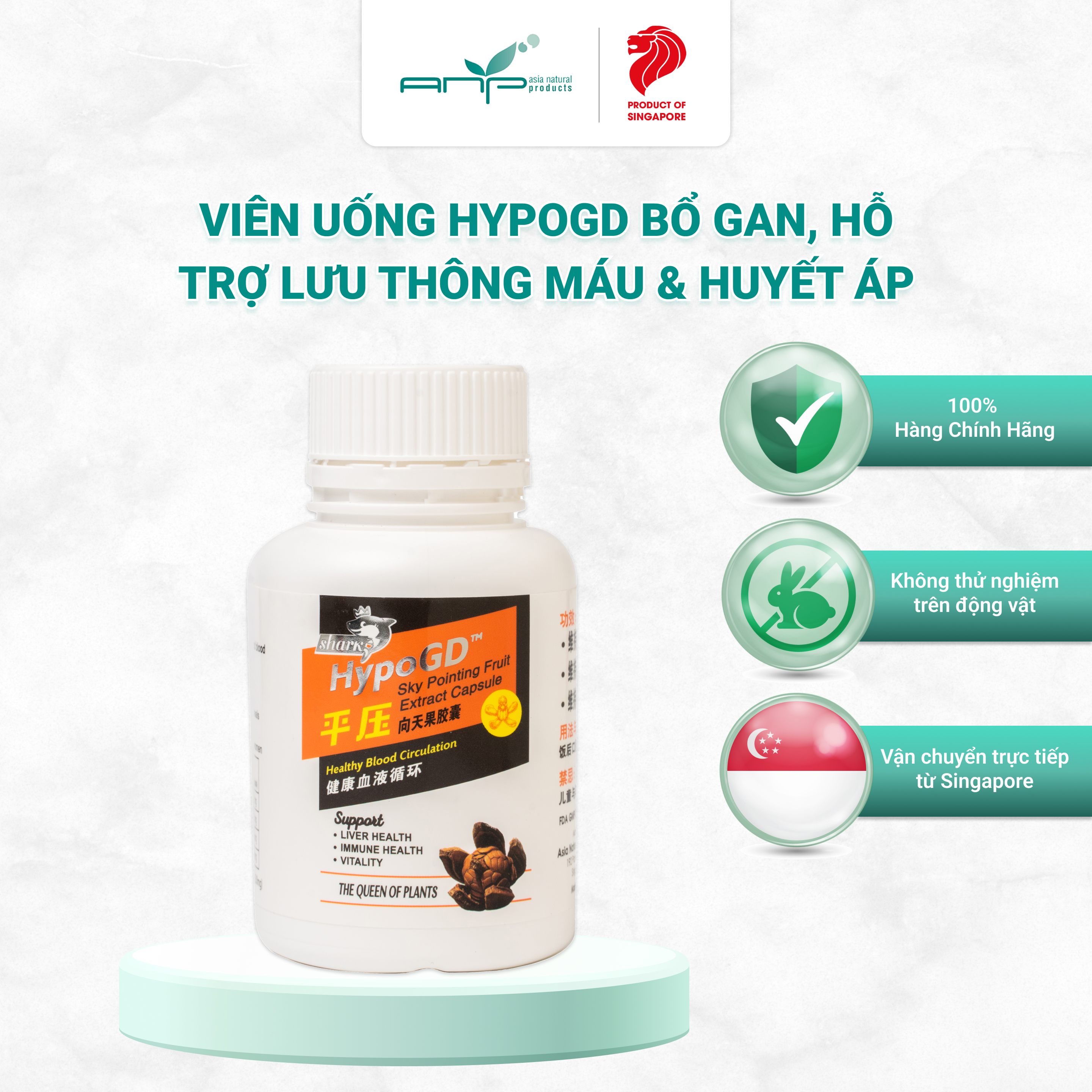 Viên Uống Hỗ Trợ Lưu Thông Máu Và Huyết Áp HypoGD Cung Cấp Các Chất Dinh Dưỡng Cần Thiết Cho Cơ Thể, Duy Trì Sự Khỏe Mạnh Của Gan