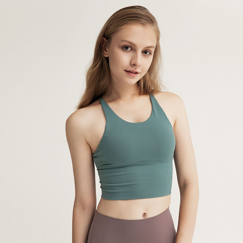 Áo Bra nữ tập Gym Yoga cao cấp thoáng khí siêu đẹp mã 221WX.