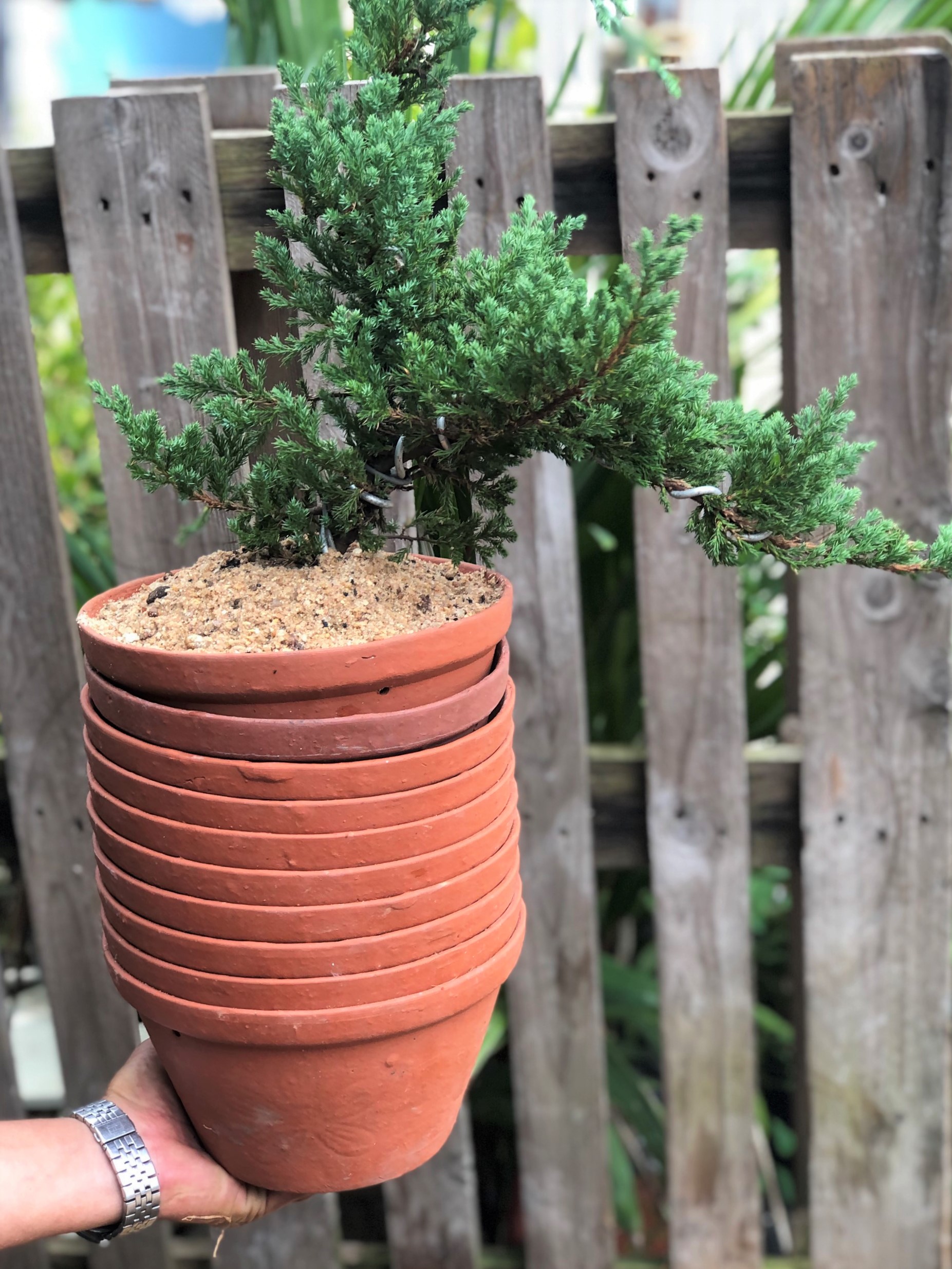 Bộ 10 chậu đất nung trồng lan trồng cây size đại rộng 22,5 cm x cao 13,5 cm