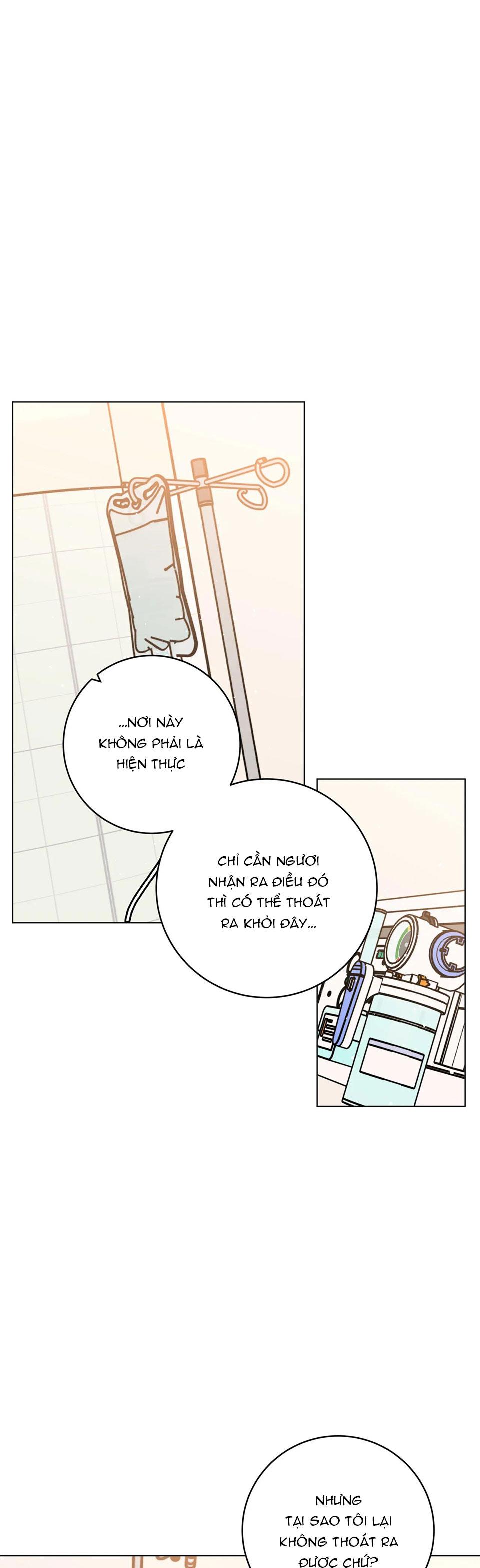 cơn mưa rào mùa hạ chapter 26 33