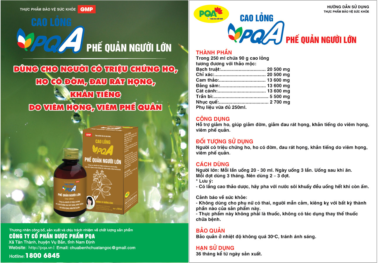 Phế Quản Người Lớn PQA Hỗ Trợ Thanh Họng, Giảm Viêm Phế Quản, Hen Suyễn, Ho Nhiều Hộp 250ml