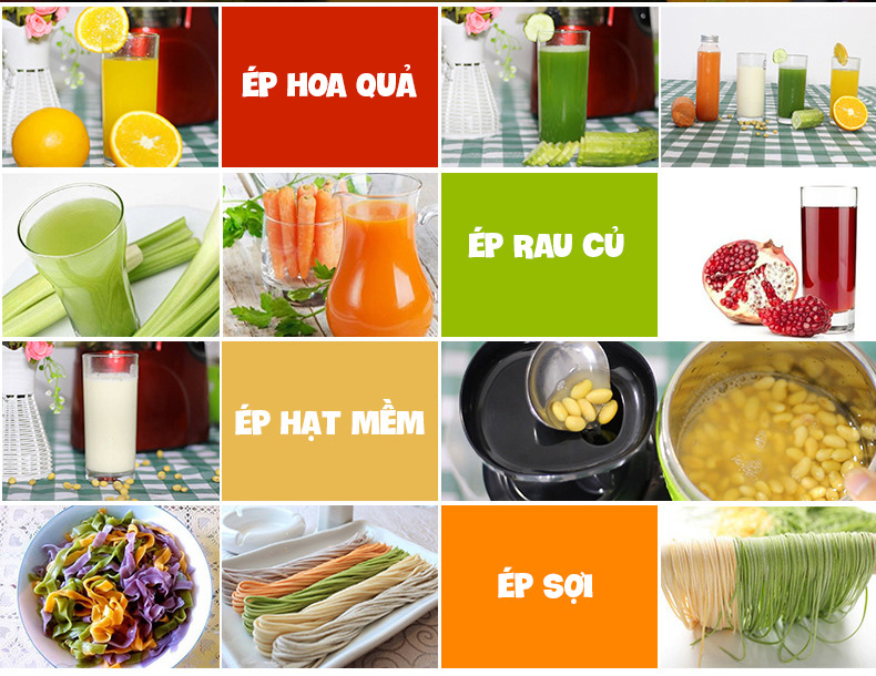 Máy ép chậm cỡ lớn RH-312 ép rau củ hoa quả 95% lượng nước