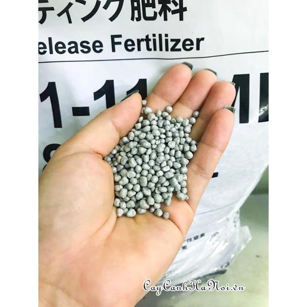 Gói 100g Phân chì tan chậm Nhật Hi-Control 13-11-11+ME - chống nấm, tăng đề kháng cho hoa cây cảnh
