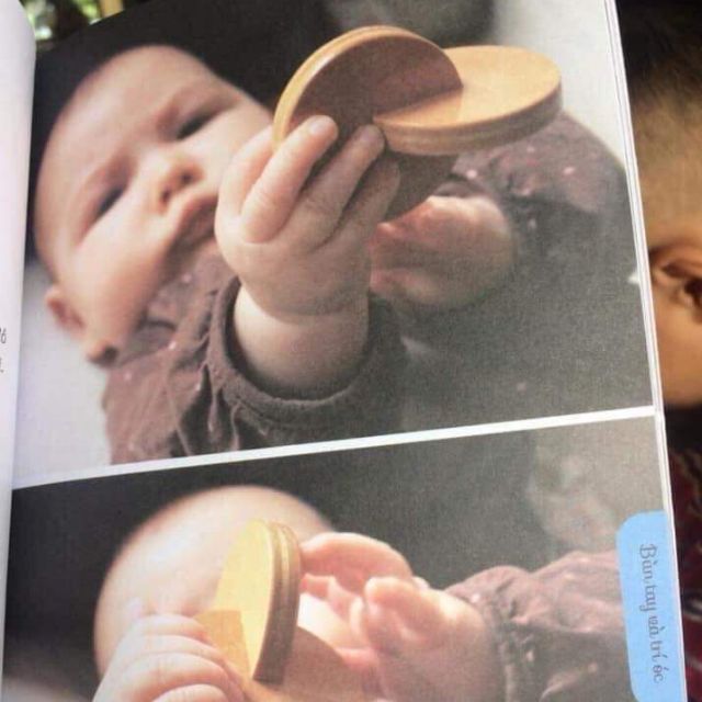 Xúc xắc 2 đĩa