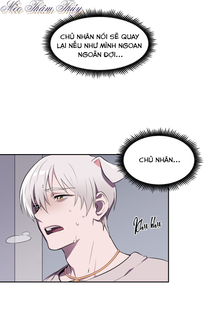 tình đầu chapter 1 2