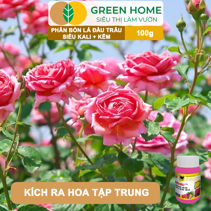 Phân Bón Lá Đầu Trâu Siêu Kali + Kẽm GreenHome, Hũ 100gr, Siêu Ra Hoa, Đậu Trái, Trái To, Đẹp Mã