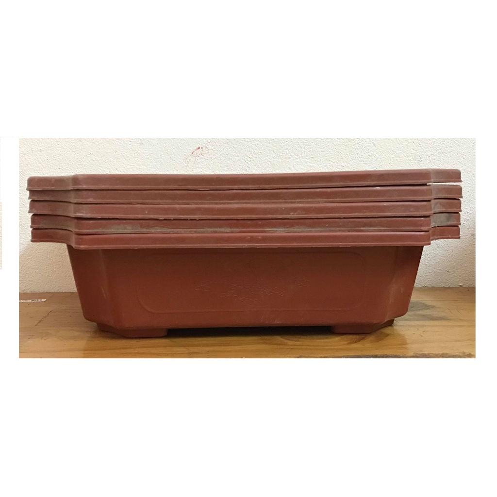 Combo 5 Chậu Nhựa Trồng Cây Mini Hình Chữ Nhật Màu Nâu Siêu Đẹp Kích Thước 28x20x8 Cm