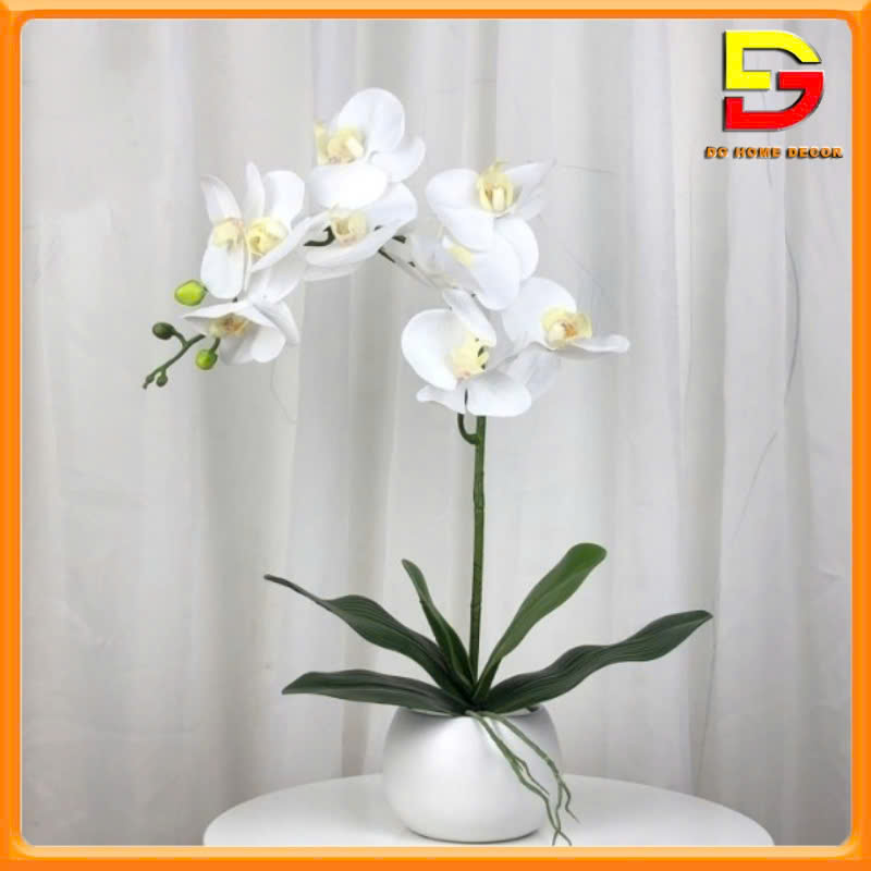 Hoa Giả Chậu Hoa Lan Hồ Điệp Gốm Sứ Cao Cấp Decor Trang Trí Nhà Cửa Nhà Hàng Văn Phòng DG-225