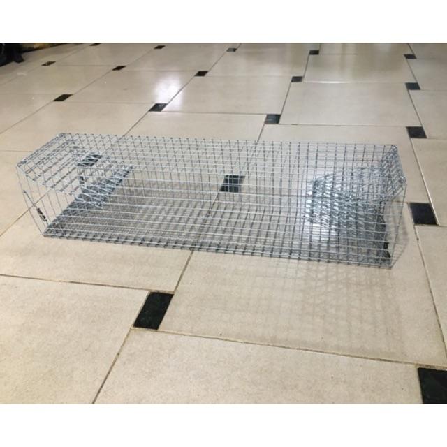 Lồng bẫy rắn 1