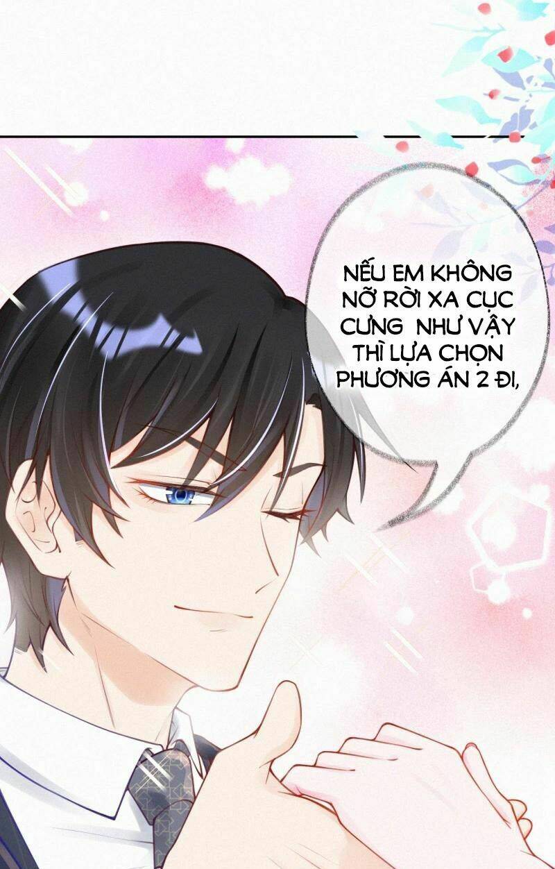 mami đột kích, thiên tài manh bảo khốc daddy chapter 4 21