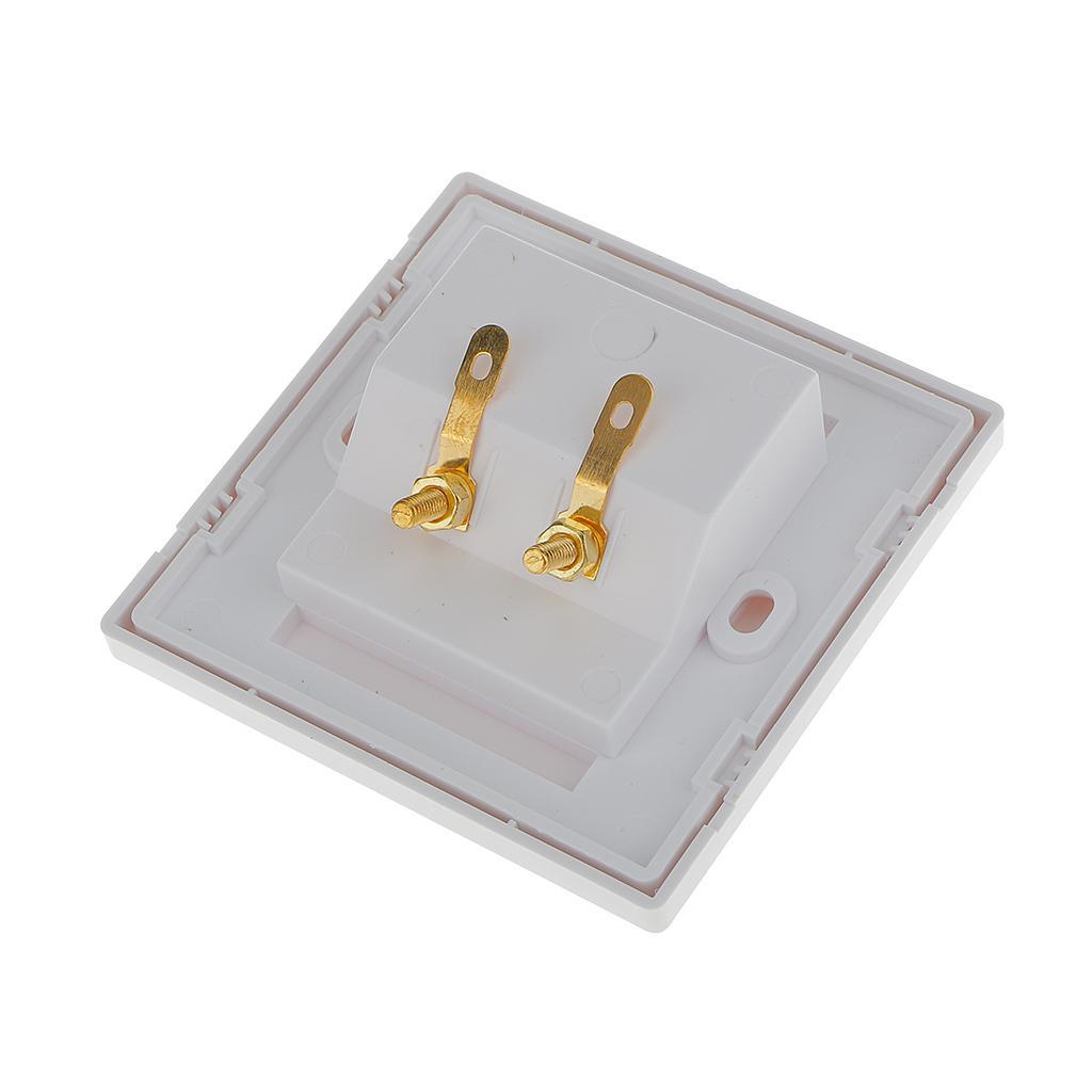 White Gold  2 Binding Post Audio  Stereo Wall Plate Panel Connector