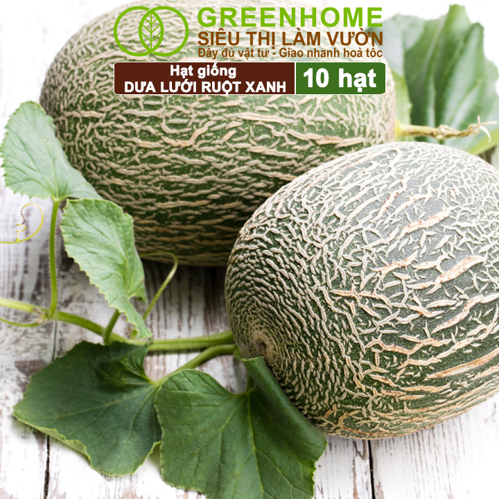 Hạt Giống Dưa Lưới Ruột Xanh Lai F1 Greenhome, Gói 10 Hạt, Dễ Trồng Quanh Năm, Nảy Mầm Cao, T28