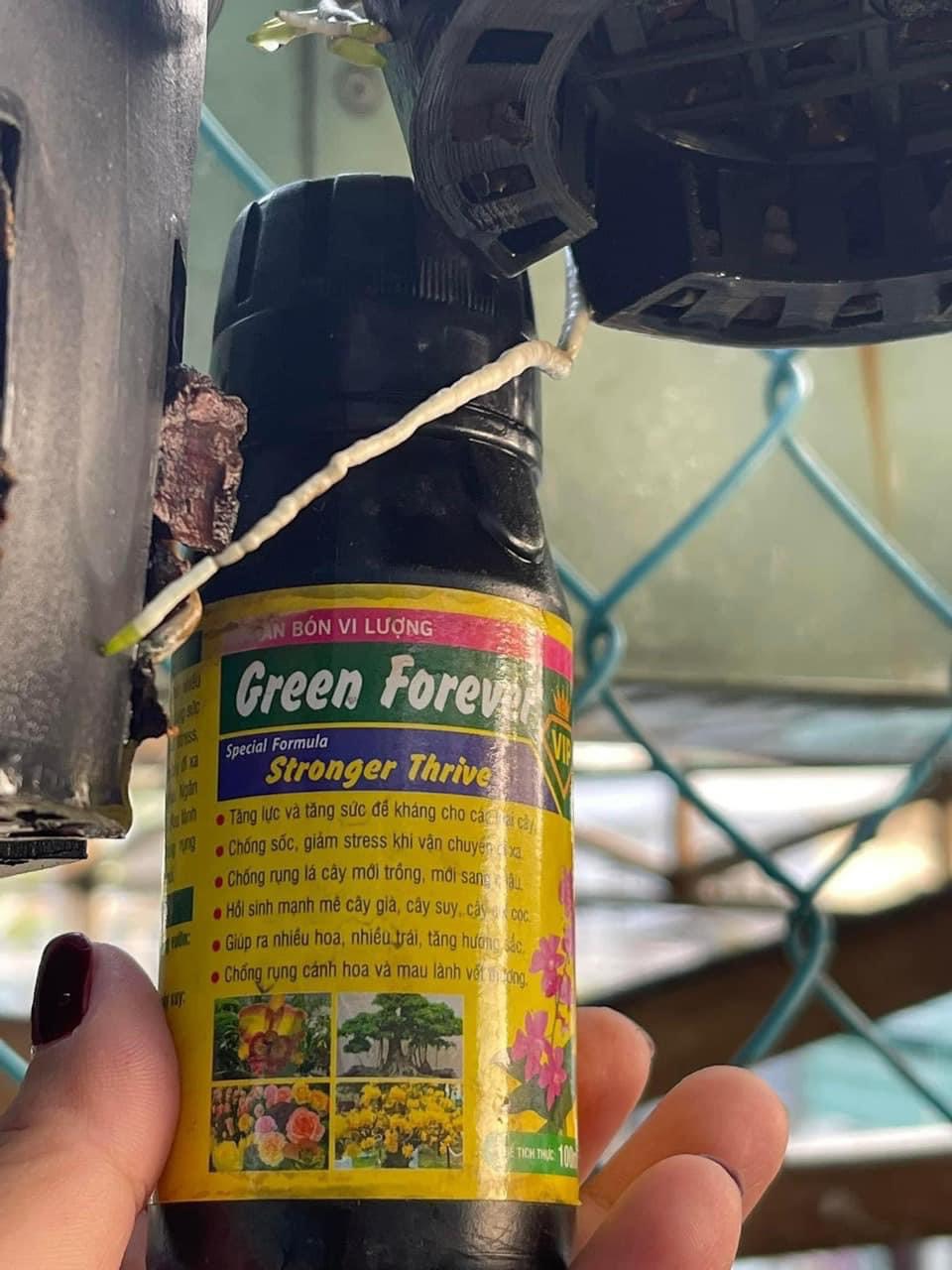 Phân bón vi lượng Green Forever lọ 100ml