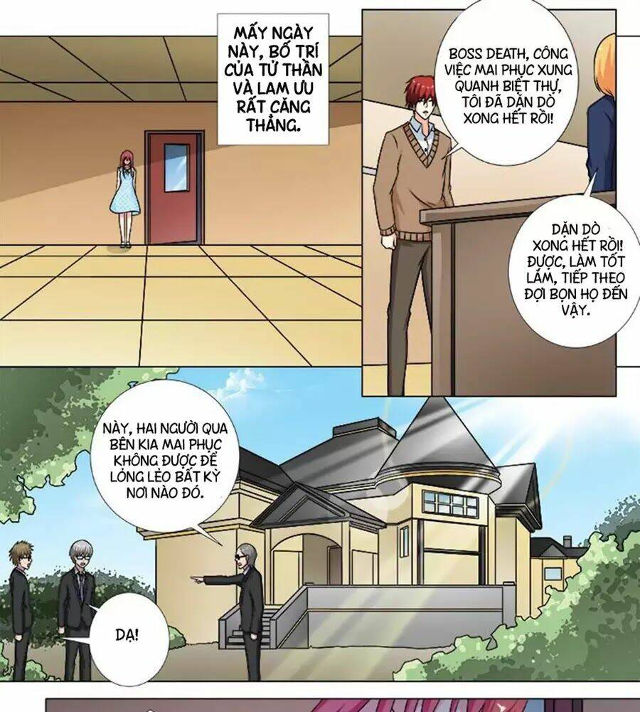 bạn trai hắc đạo của tôi chapter 258 5