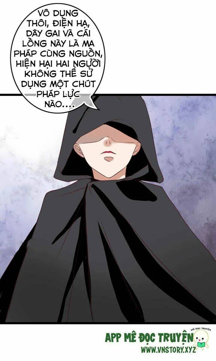 sau con mưa mùa hạ chapter 77 14