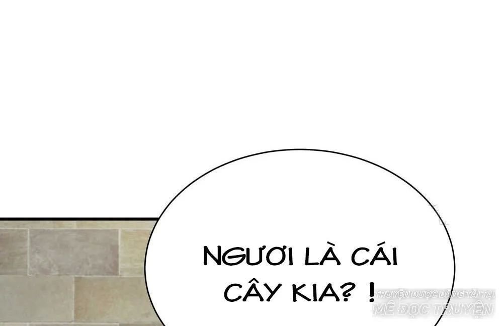 thái tử phi nhà ta thật hung hăng chapter 14.2 11