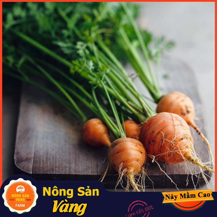Hạt giống Cà Rốt Củ Tròn - Nông Sản Vàng