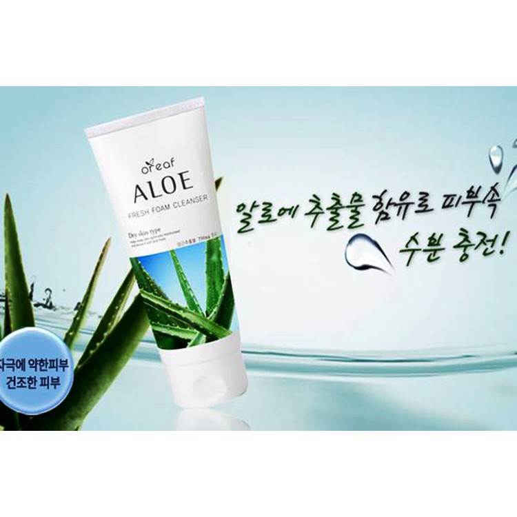 Sữa rửa mặt Lô Hội BEBECO Hàn Quốc OREAF ALOE FRESH FOAM CLEANSER 150 ml