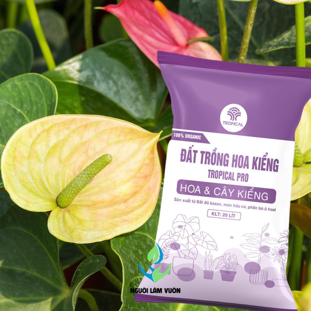 Đất trồng hoa kiểng TROPICAL PRO kháng bệnh tốt - giữ dinh dưỡng tốt túi 20 lít - 10kg