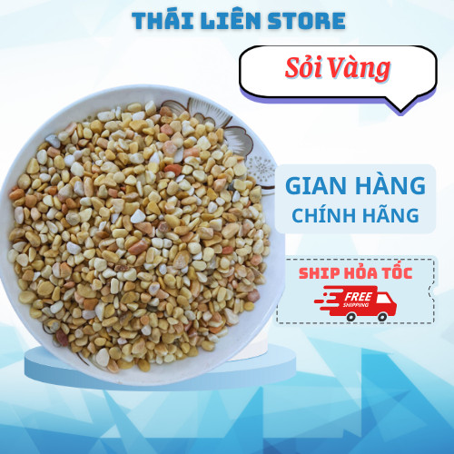 Sỏi Vàng_ Trải Nền Hồ Thủy Sinh, Hồ Cá Cảnh Mini Để Bàn, Rải Mặt Chậu Sen Đá, Tiểu Cảnh Terrarium