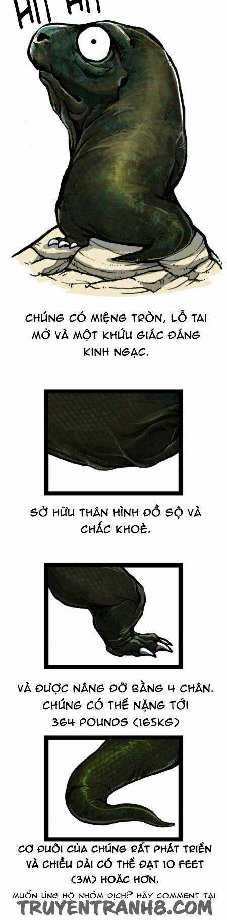 earth, human, and animal chapter 26 11