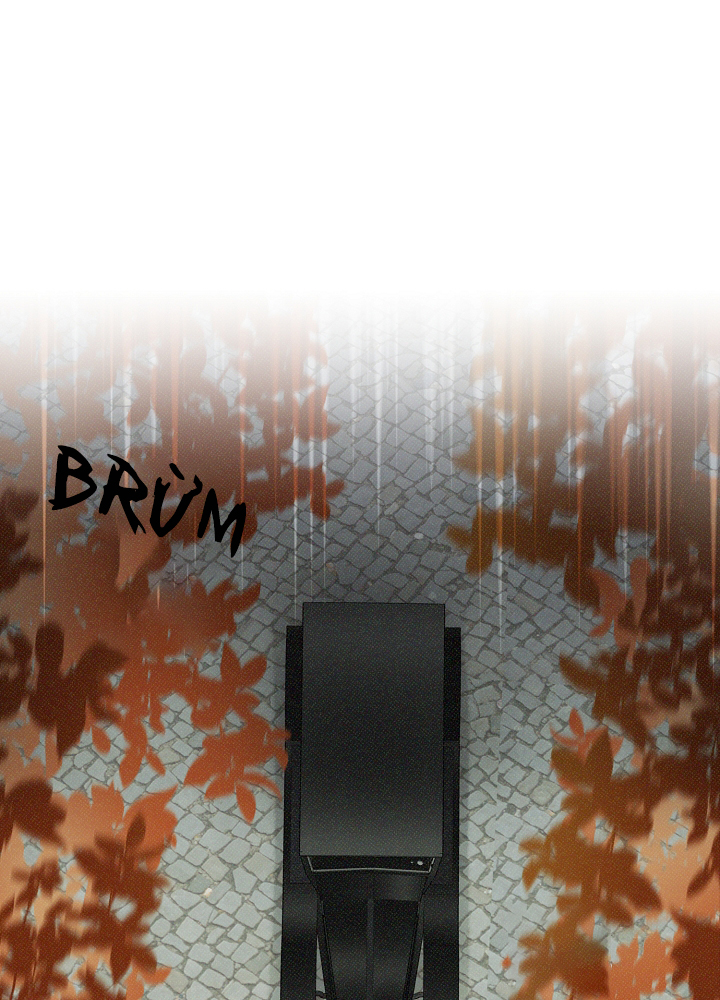 em dám không ? chapter 35.1 28