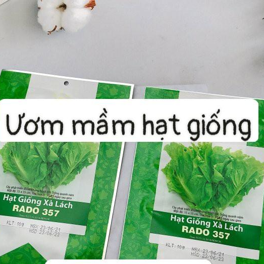 Hạt giống RD Xà lách Rado 357 gói 10gr