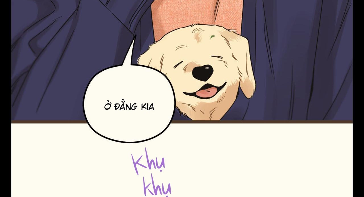 tương phùng chapter 37 247