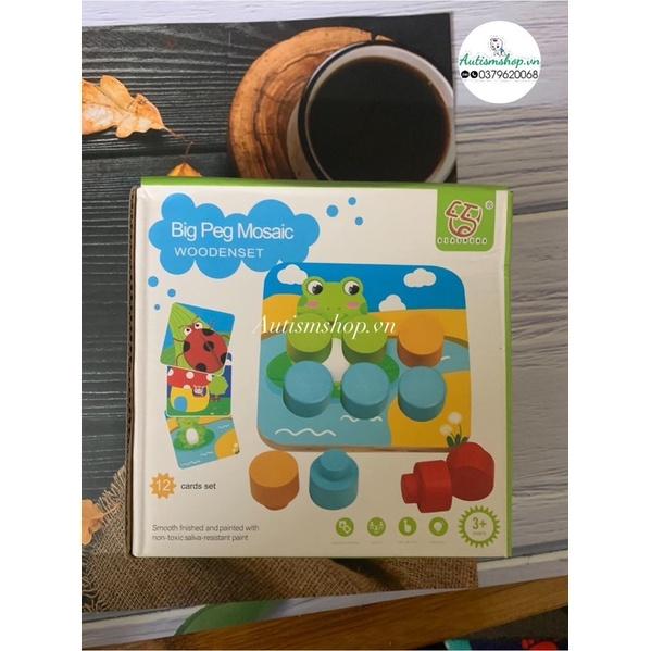 Bộ đồ xếp gỗ màu montessori