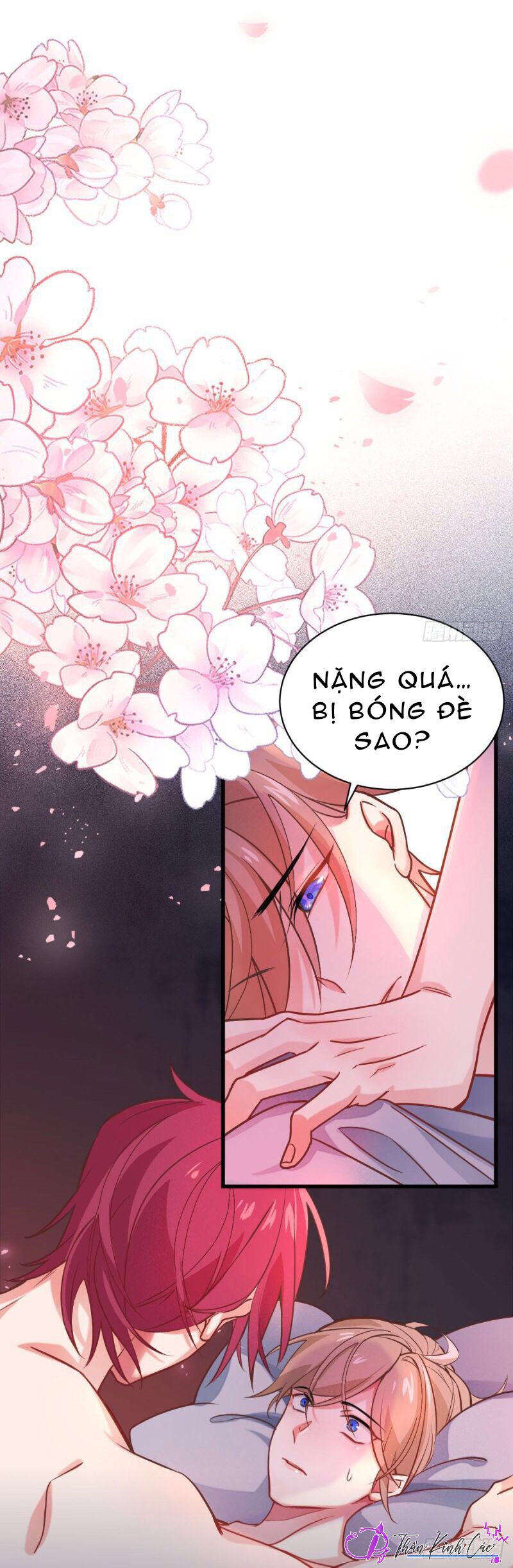 sói vương không thể được chapter 2 25