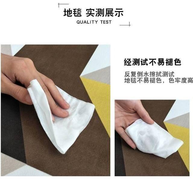 Thảm Lót Bàn Cà Phê/Ghế Sofa/Phòng Khách Kiểu Bắc Âu Hiện Đại