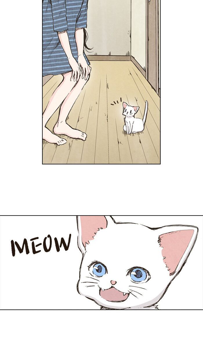 honey! honey! marry me! chapter 43 16