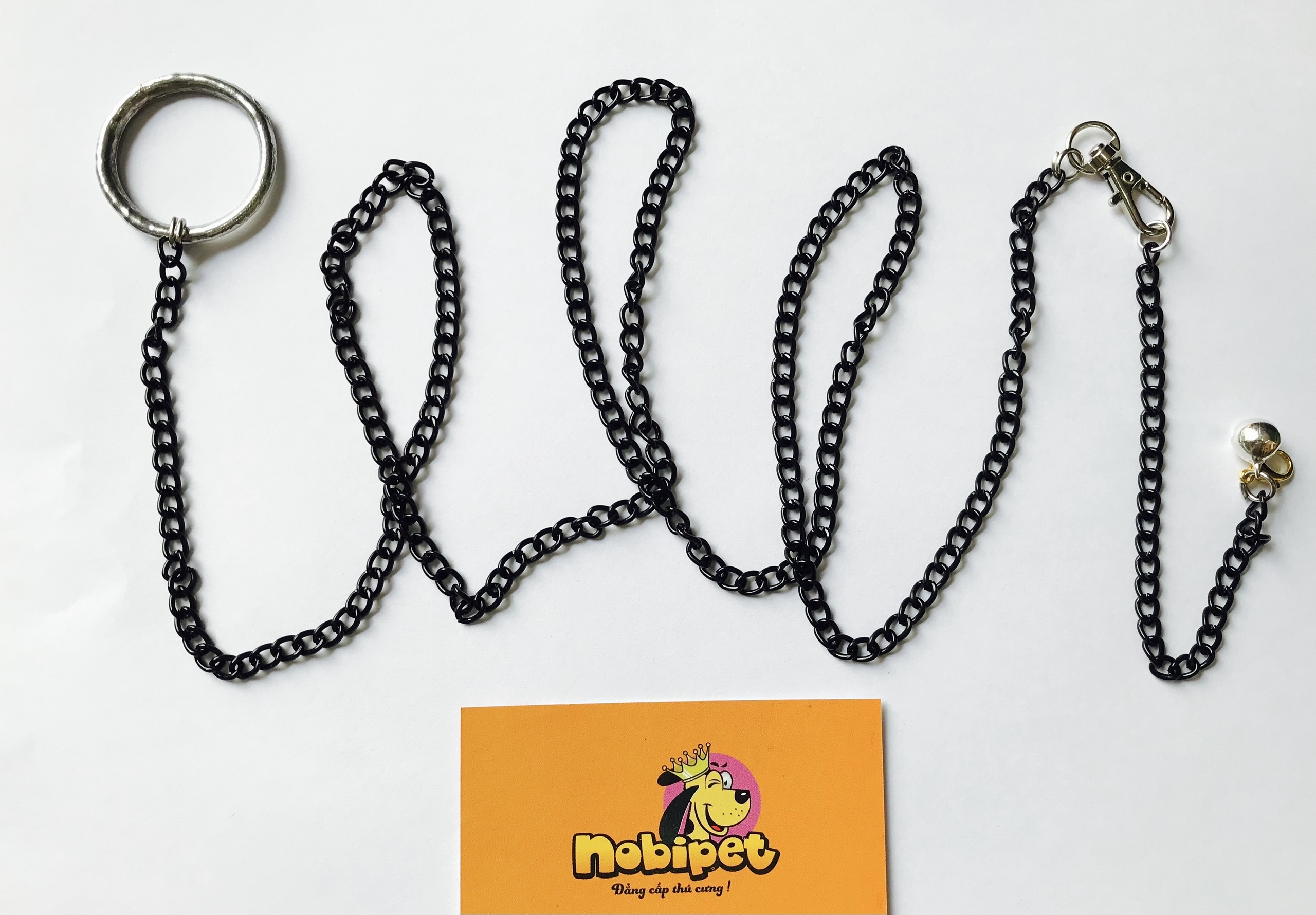 Combo dây xích + vòng cổ CHẮC CHẮN cho Sóc Bắc Mỹ Sóc Hoàng Đế, Sóc Bông, Sóc Lửa, Sóc Hoàng Đế Úc Lớn Trưởng Thành