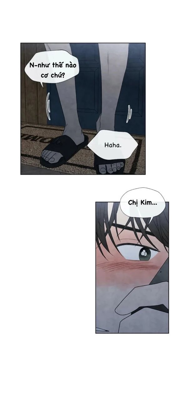 summer solstice point chapter 12 29