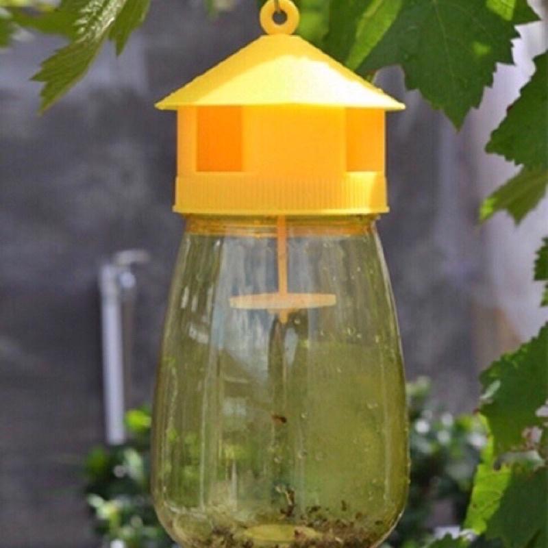 LỒNG BẪY RUỒI VÀNG và CHẤT DẪN DỤ Bẫy ruồi vàng thế hệ mới