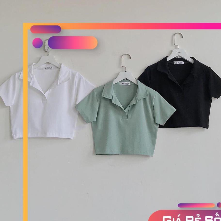 Áo Croptop POLO Nữ vải mịn