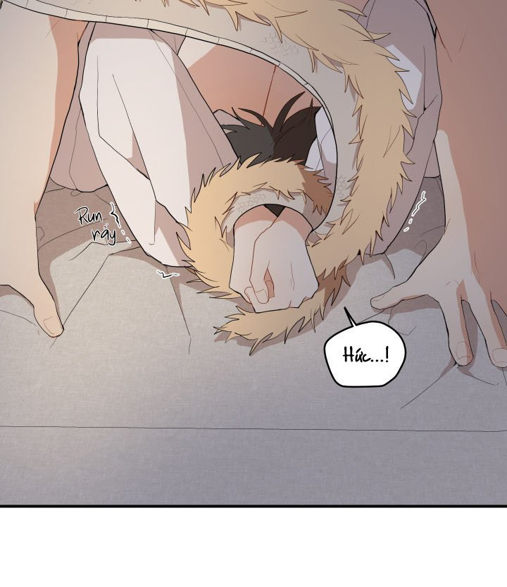 đường hoa liên kiều rơi chapter 25 45