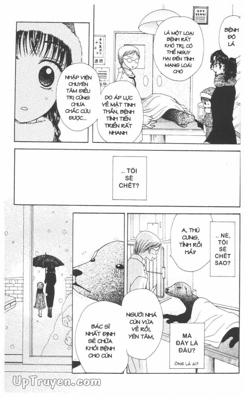 chân dung m&n chapter 5 117