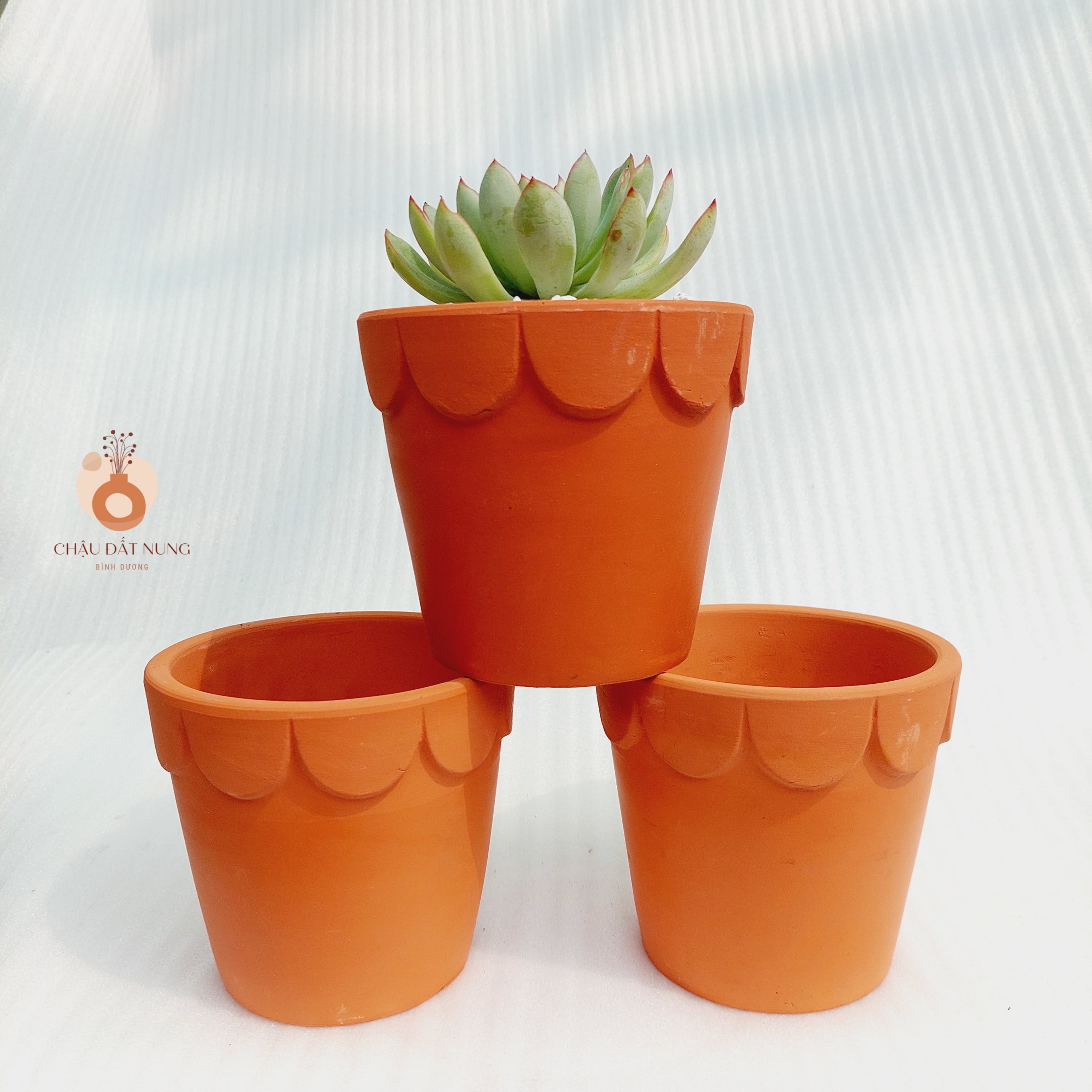 Chậu đất nung - Ly gờ hoa, miệng chậu 12cm, chiều cao 11cm