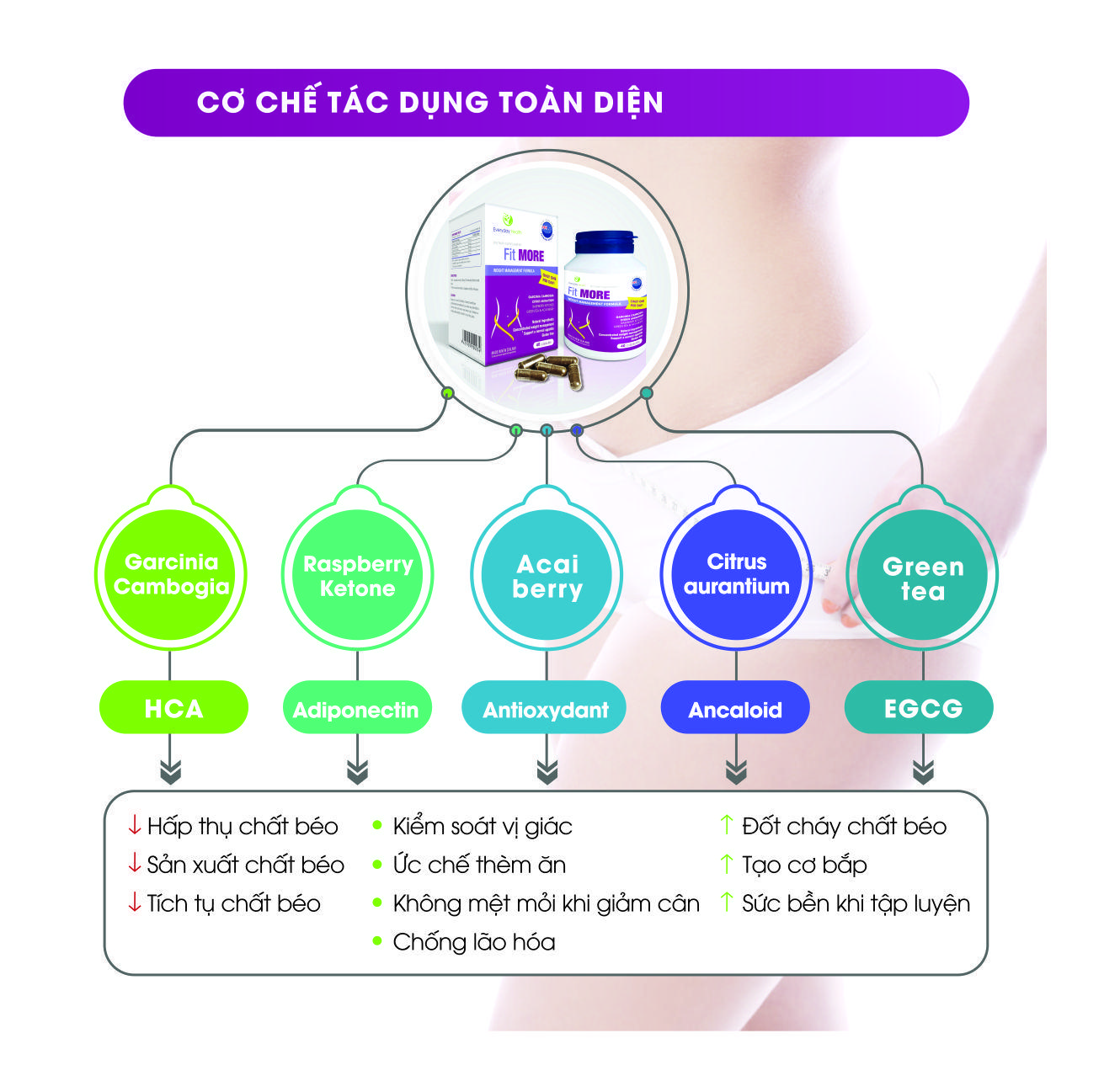 Viên uống giảm cân nhập khẩu chính hãng New Zealand FIT MORE  hỗ trợ giảm cân an toàn, tăng cường chuyển hóa chất béo, ức chế cảm giác thèm ăn