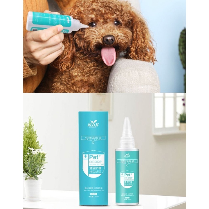 Nhỏ mắt cho chó mèo Dorrikey chai lớn 60ml - Hàng chính hãng Date mới